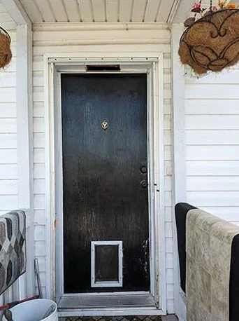 Worn dark door with a pet flap in a sided entry